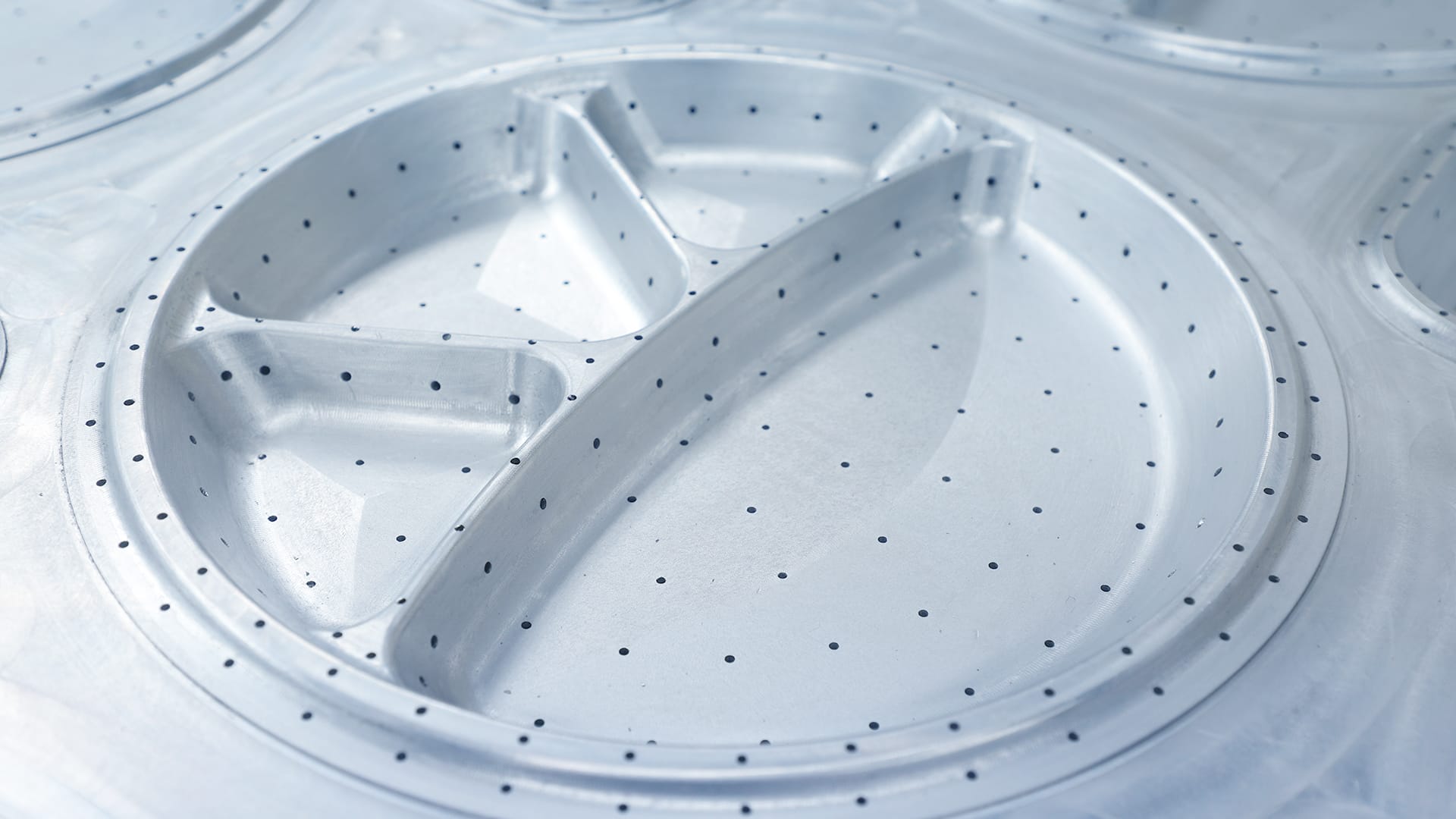 Compartment Plate Molds